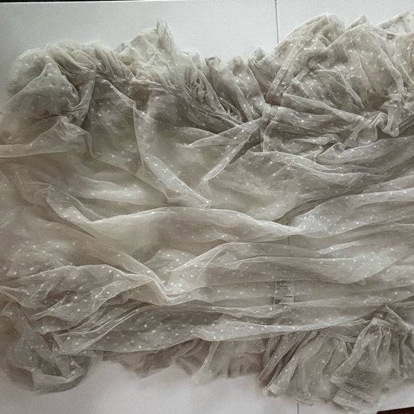 Sheer Ruffled Dress - Picture 3 of 3